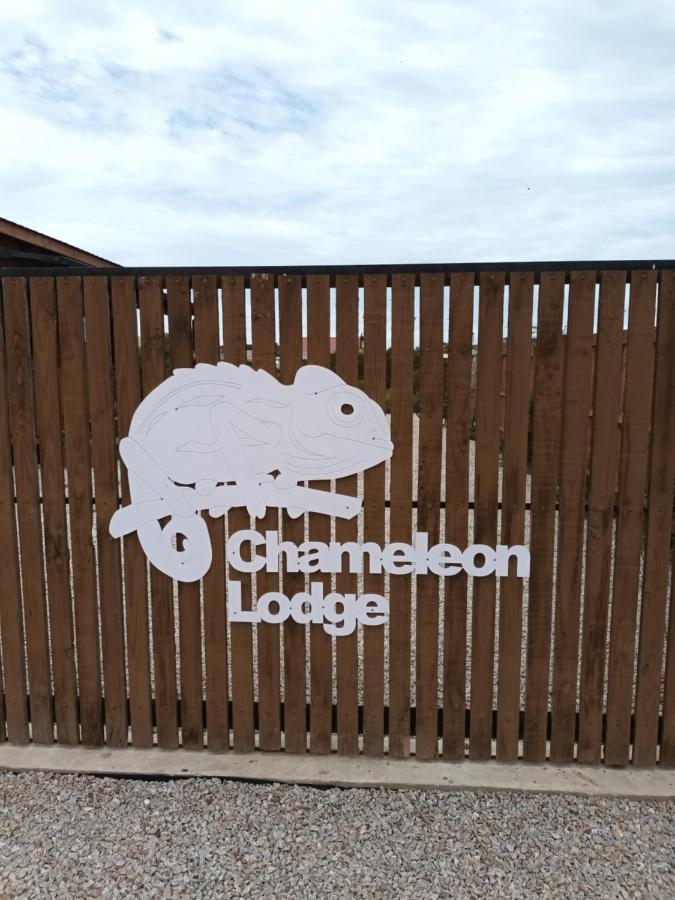 Chameleon Lodge コルチェスター エクステリア 写真