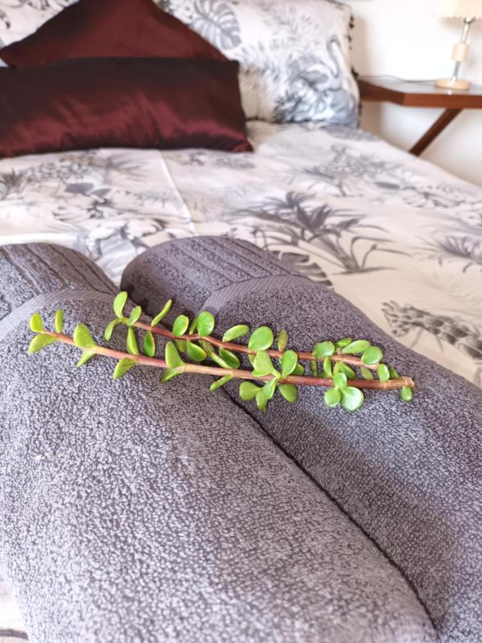 Chameleon Lodge コルチェスター エクステリア 写真